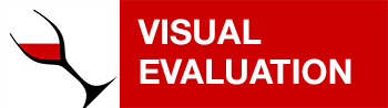 Visual Evaluation